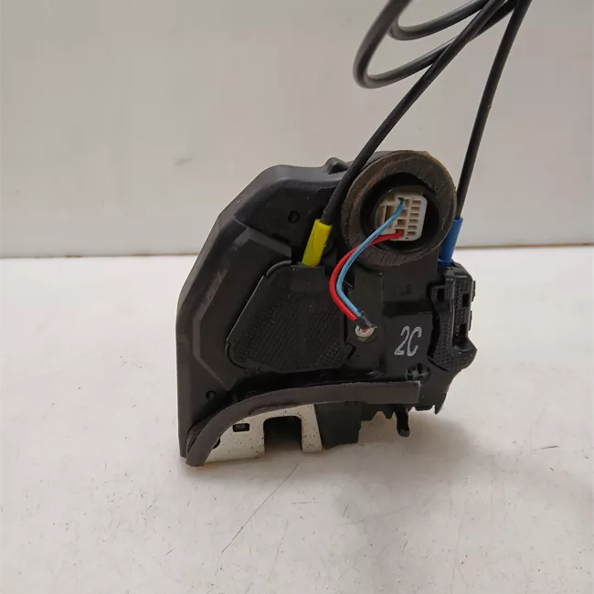 Serratura porta posteriore sinistra