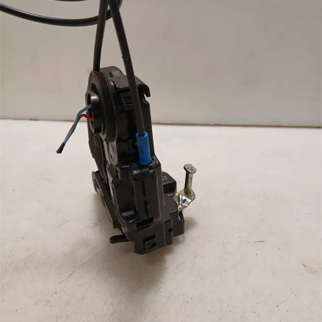 Serratura porta posteriore sinistra