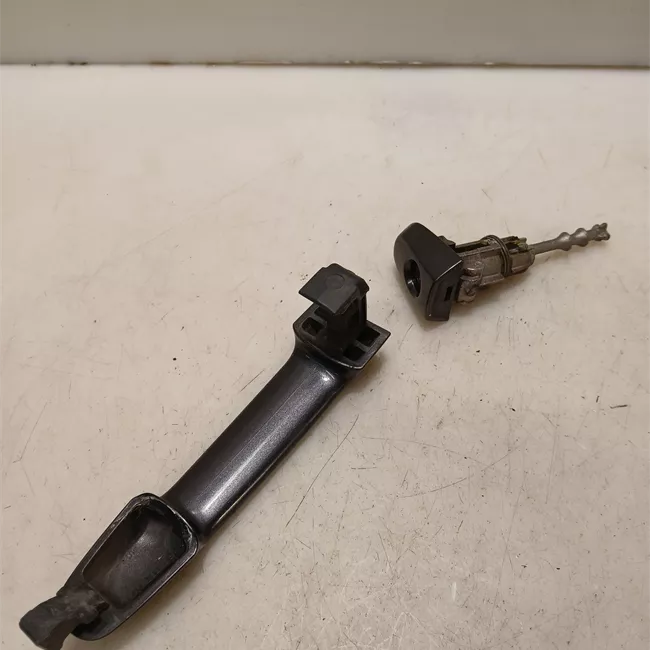 Maniglia porta anteriore sinistra primer