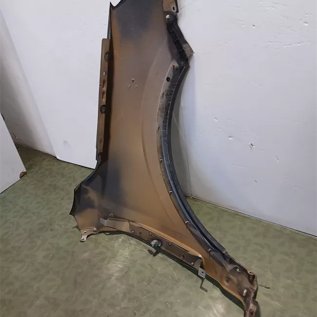 Parafango anteriore sinistro