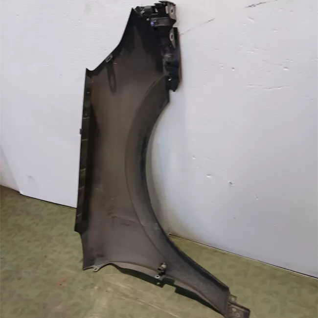 Parafango anteriore sinistro