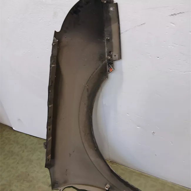 Parafango anteriore sinistro