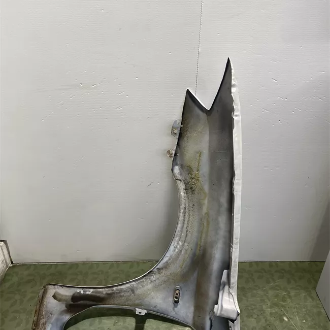 Parafango anteriore destro