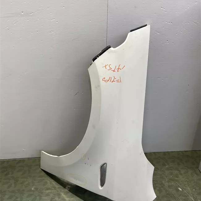 Parafango anteriore sinistro