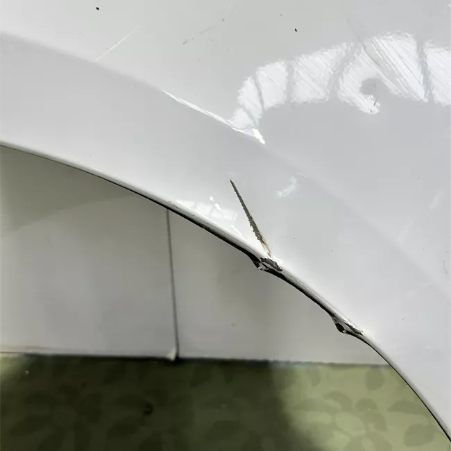 Parafango anteriore sinistro