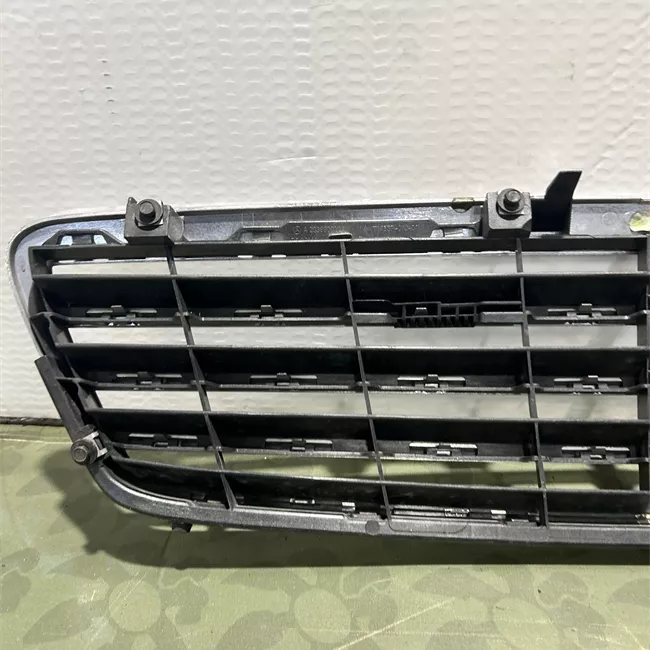 Griglia pacchiusura avantg./elegance/sport argento brillante