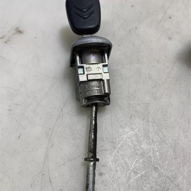 Maniglia porta anteriore sinistra primer