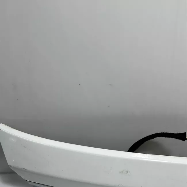 Maniglia portello posteriore con cromatura bianco frozen