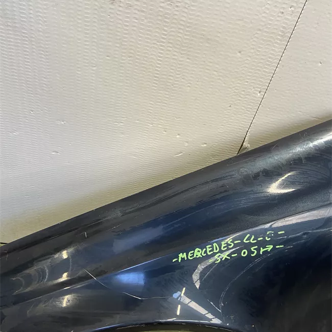 Parafango anteriore sinistro