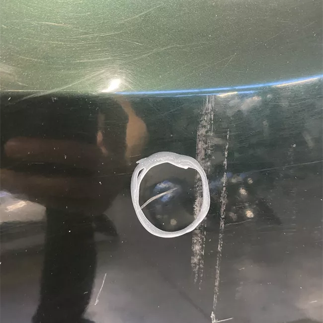 Porta anteriore destra S