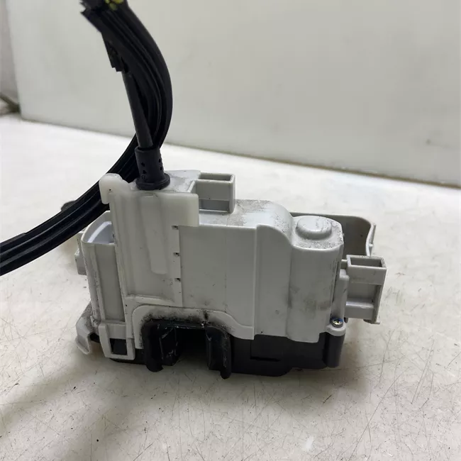 Serratura porta posteriore sinistra