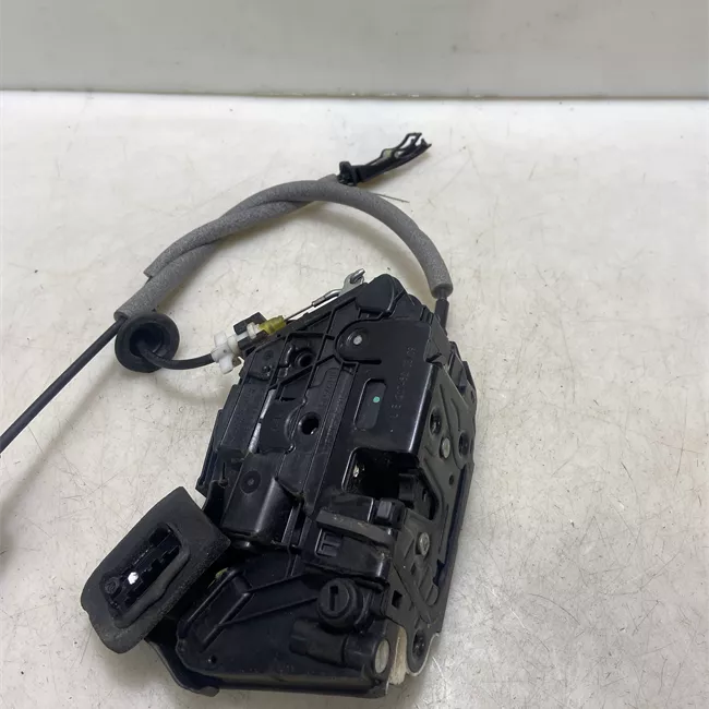 Serratura porta posteriore sinistra senza dispositivo Safe