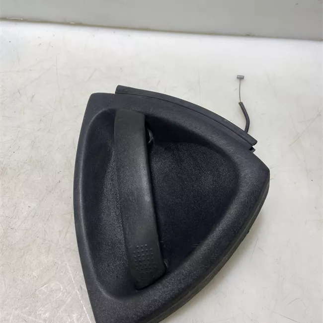 Maniglia porta anteriore sinistra