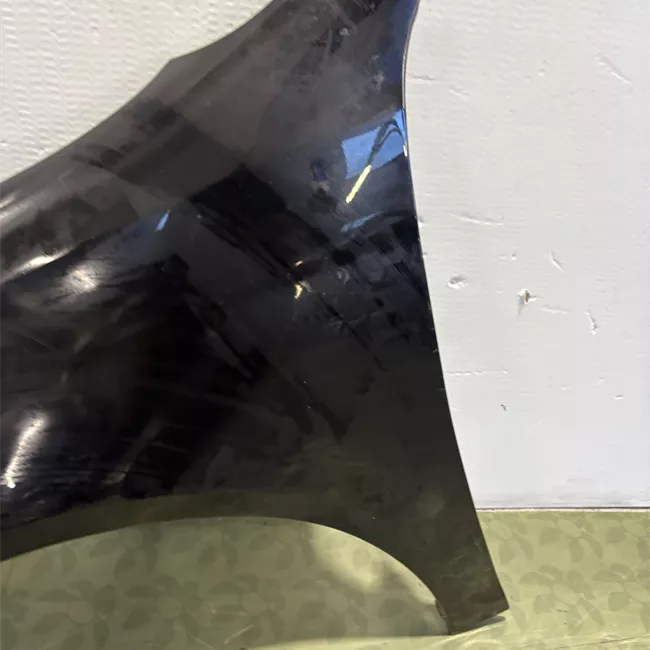 Parafango anteriore sinistro