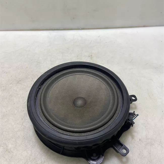 Altoparlante porta posteriore destro con sistema Bose