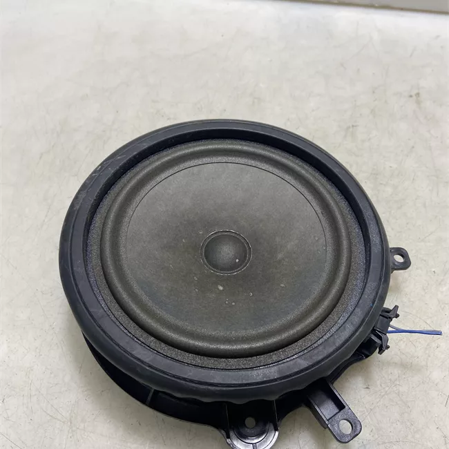 Altoparlante porta posteriore destro con sistema Bose