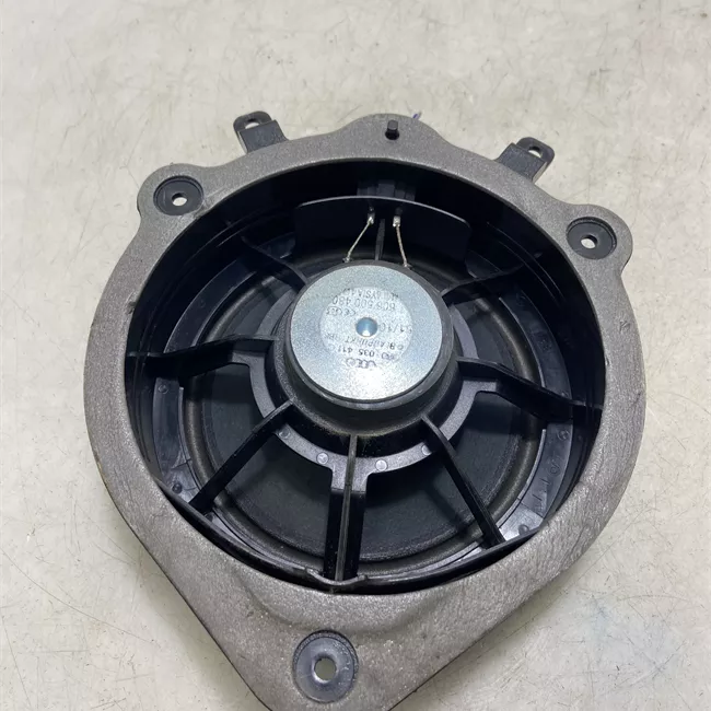 Altoparlante porta posteriore destro con sistema Bose