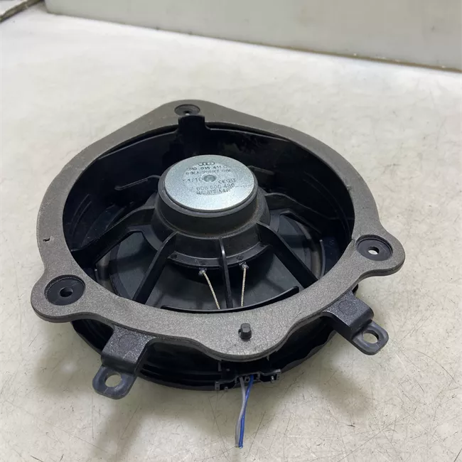 Altoparlante porta posteriore destro con sistema Bose