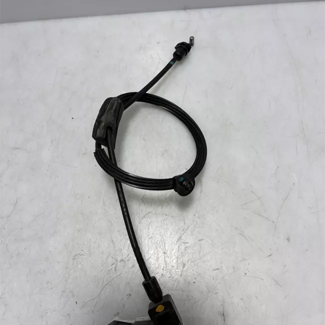 Serratura porta posteriore sinistra con bloccaggio elettromagnetico