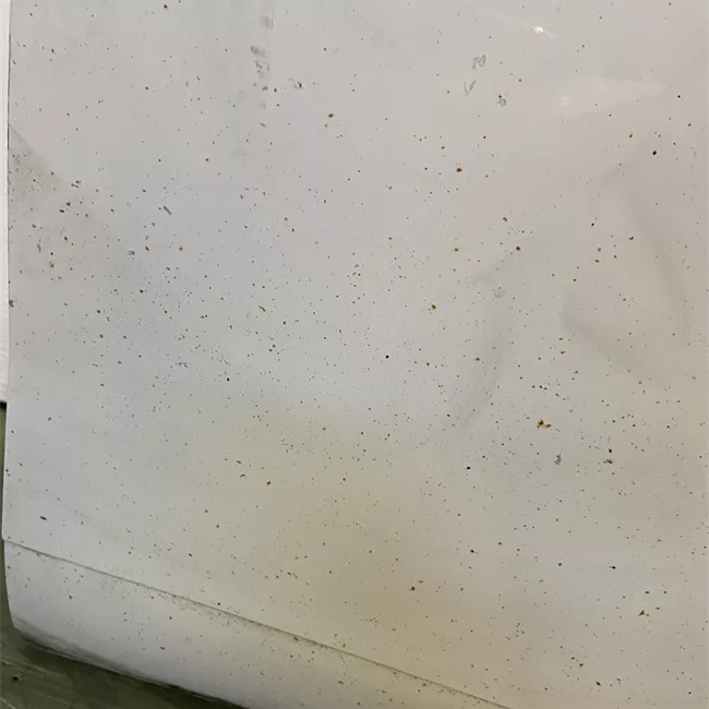 Porta anteriore destra