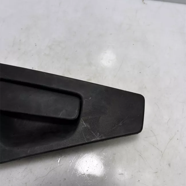 Maniglia porta posteriore sinistra