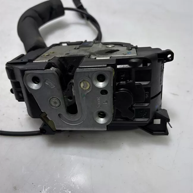 Serratura porta posteriore sinistra