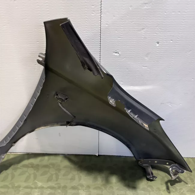 Parafango anteriore sinistro