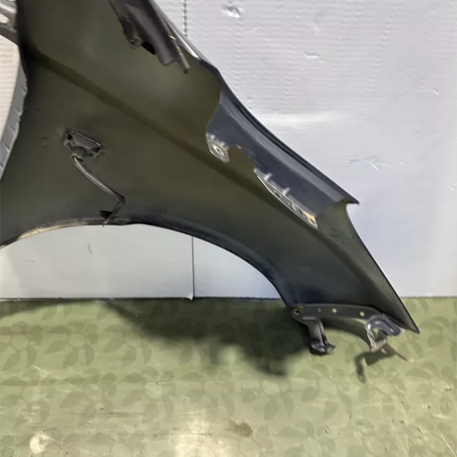 Parafango anteriore sinistro
