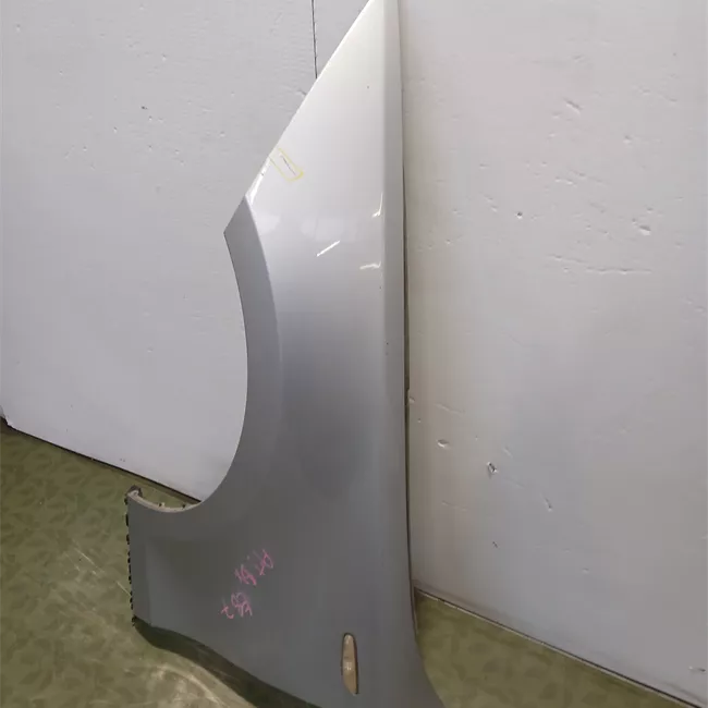 Parafango anteriore sinistro