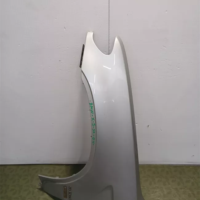 Parafango anteriore sinistro 10-03>