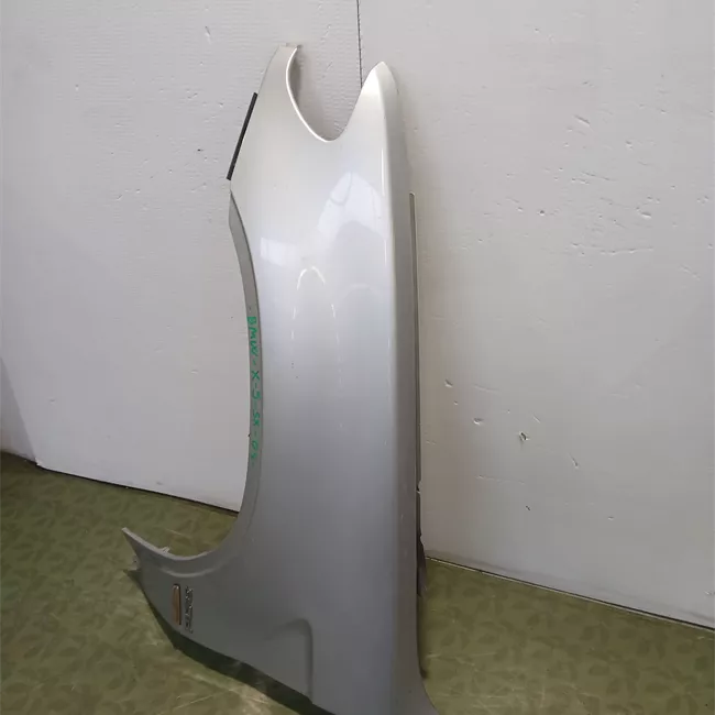 Parafango anteriore sinistro 10-03>