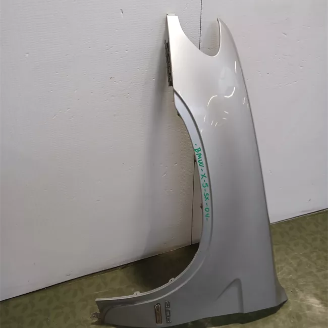 Parafango anteriore sinistro 10-03>