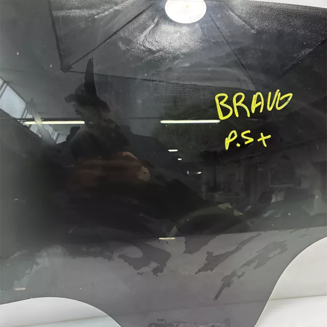 Scendente porta posteriore sinistro con cristalli posteriore oscurati