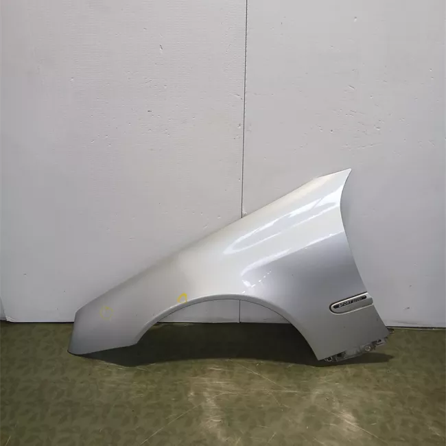 Parafango anteriore sinistro