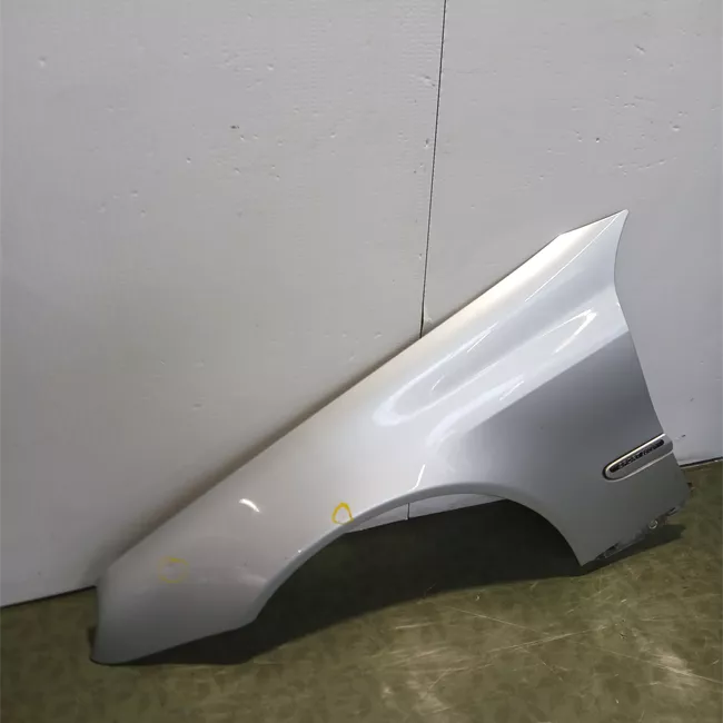 Parafango anteriore sinistro