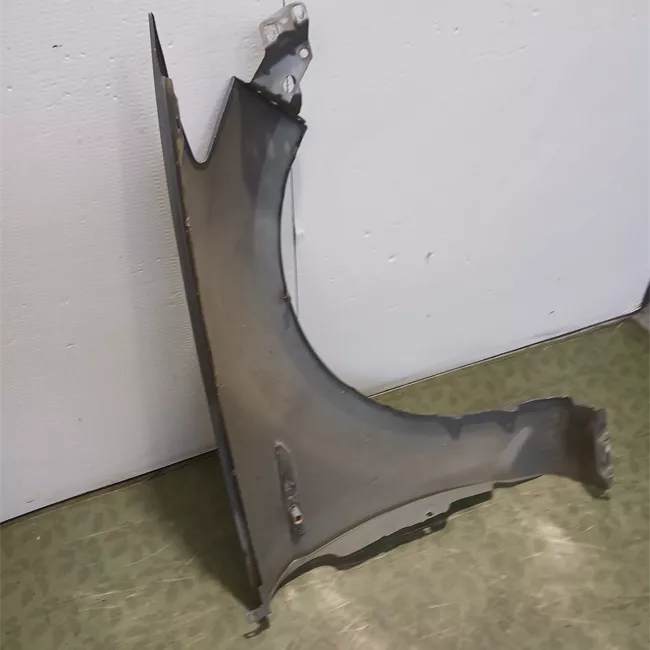 Parafango anteriore sinistro