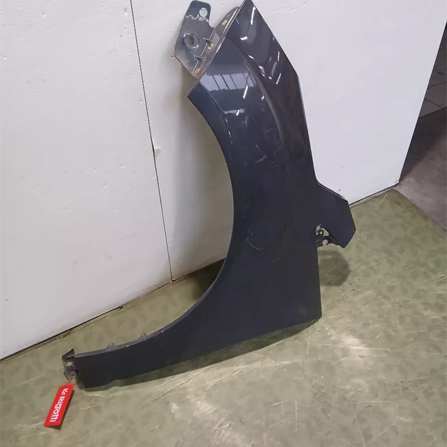 Parafango anteriore sinistro