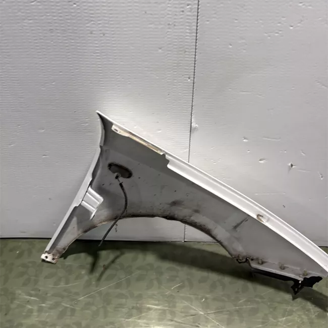 Parafango anteriore sinistro