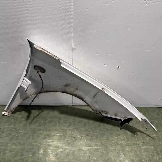 Parafango anteriore sinistro