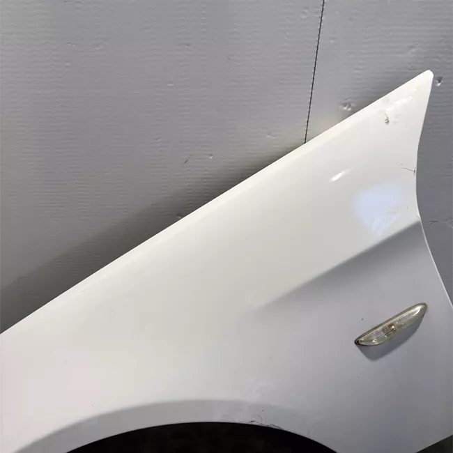 Parafango anteriore sinistro