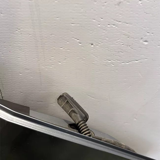 Porta posteriore destra