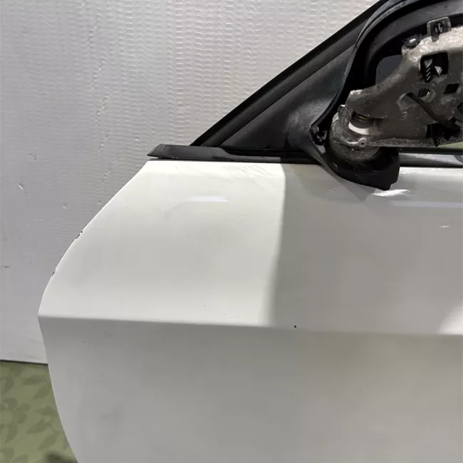 Porta anteriore sinistra