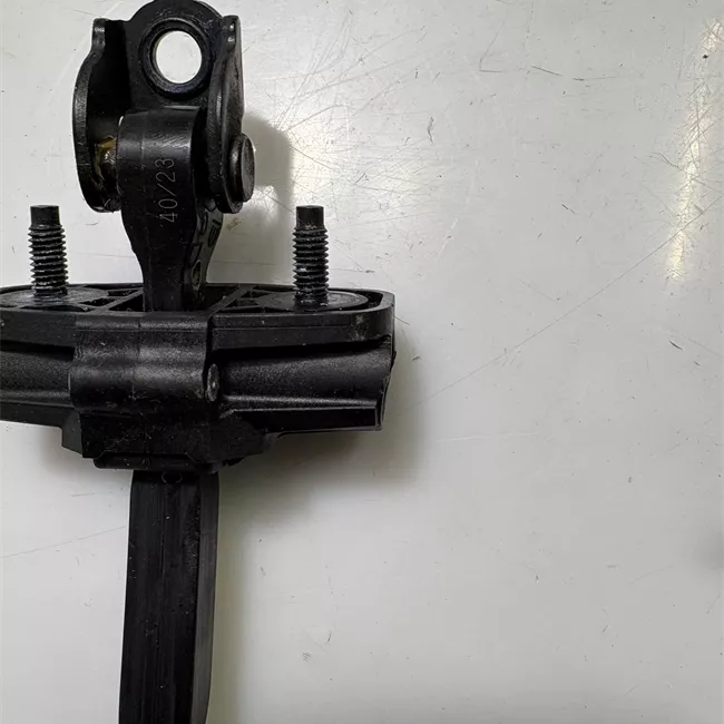 Fermo porta posteriore sinistro