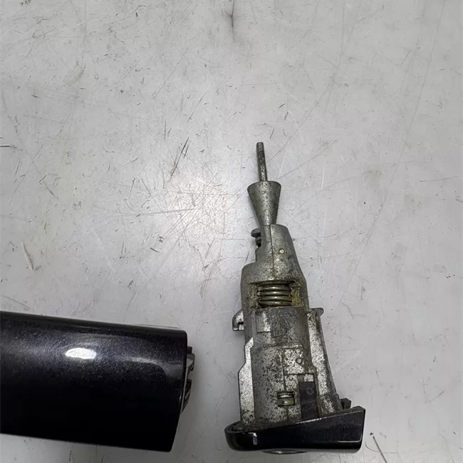 Maniglia porta anteriore sinistra primer