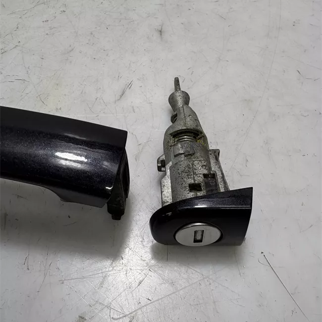 Maniglia porta anteriore sinistra primer