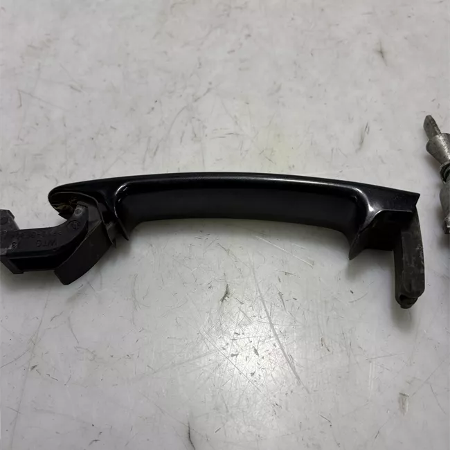 Maniglia porta anteriore sinistra primer