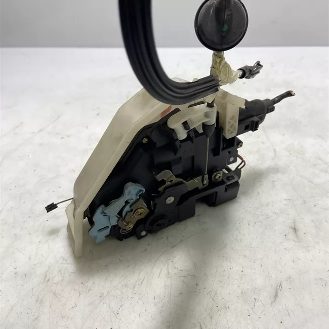 Serratura porta posteriore sinistra