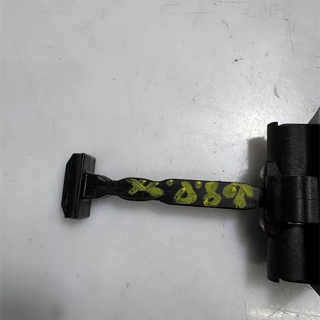 Fermo porta posteriore sinistro