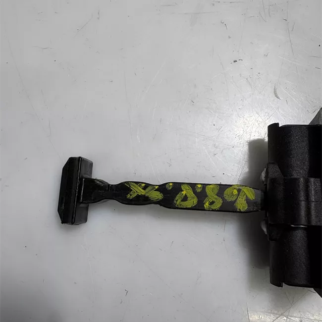 Fermo porta posteriore sinistro