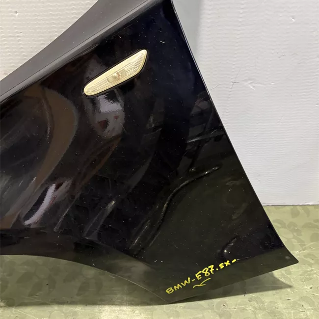 Parafango anteriore sinistro